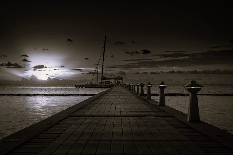 AdobeStock_3192903186-scaled-1